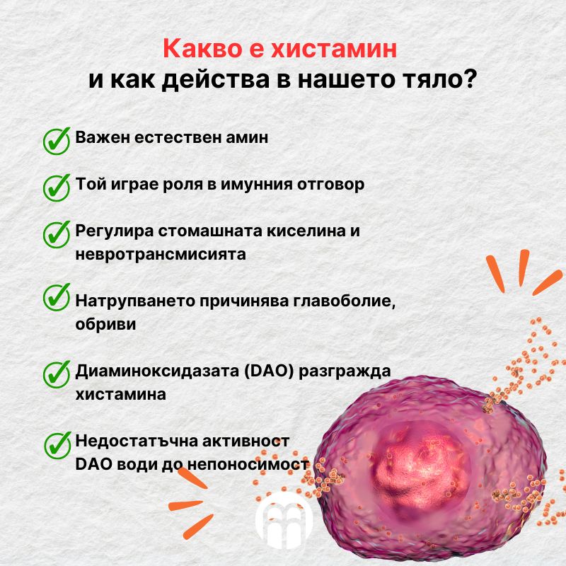 (Bulharština) Co je to histamin  a jak funguje v našem těle